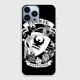 Чехол для iPhone 13 Pro Max с принтом Cleric ,  |  | dd | dungeon  dragons | dungeon and dragons | данжен энд дрэгонс | днд | игра | настольная игра | подземелья и драконы