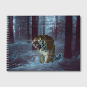 Альбом для рисования с принтом ТИГР В СУМЕРЕЧНОМ ЛЕСУ , 100% бумага
 | матовая бумага, плотность 200 мг. | tiger | в лесу | дикая | кошка | лес | природа | тигр | тигренок | тигрица | тигры
