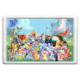 Магнит 45*70 с принтом MY LITTLE PONY , Пластик | Размер: 78*52 мм; Размер печати: 70*45 | my little pony | pinkie pie | scootaloo | spike | sweaty balls | искорка | крошка бель | маленькие пони | мульфтфильм | пони | скутолу | эппл блум