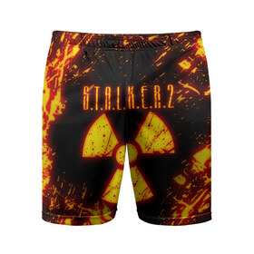 Мужские шорты 3D спортивные с принтом S.T.A.L.K.E.R. 2 ,  |  | bandit | chernobyl | pripyat | s.t.a.l.k.e.r. 2 | shadow of chernobyl | stalker | stalker 2 | бандиты | меченый | припять | сталкер | сталкер 2 | тени чернобыля | чернобыль | чистое небо