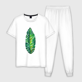 Мужская пижама хлопок с принтом Лист , 100% хлопок | брюки и футболка прямого кроя, без карманов, на брюках мягкая резинка на поясе и по низу штанин
 | лист | лист пальмы | минимализм | тропики
