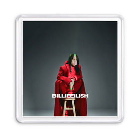 Магнит 55*55 с принтом Billie Eilish , Пластик | Размер: 65*65 мм; Размер печати: 55*55 мм | at | billie | don’t | eilish | electronic | eyes | me | music | ocean | pirate | smile | synthpop | usa | айлиш | билли | музыка | пайрэт | синти поп | сша | электронная | электропоп