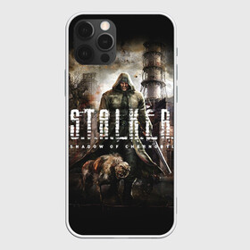 Чехол для iPhone 12 Pro с принтом S.T.A.L.K.E.R. , силикон | область печати: задняя сторона чехла, без боковых панелей | 2 | call of chernobyl | s.t.a.l.k.e.r. | shadow of chernobyl | stalker | зов припяти | зона | летс плей | моды | сталкер | стрим | тень чернобыля | чистое небо