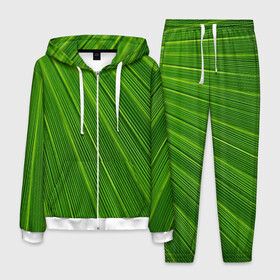 Мужской костюм 3D с принтом Зелёный лист , 100% полиэстер | Манжеты и пояс оформлены тканевой резинкой, двухслойный капюшон со шнурком для регулировки, карманы спереди | abstract | абстрактно | абстрактный | абстракция | зеленый | зелень | лист | листок | листья | полоса | полоска | полосы | природа | флора
