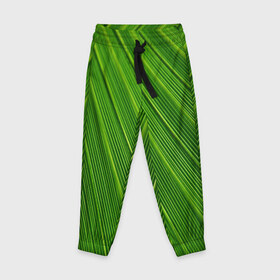 Детские брюки 3D с принтом Зелёный лист , 100% полиэстер | манжеты по низу, эластичный пояс регулируется шнурком, по бокам два кармана без застежек, внутренняя часть кармана из мелкой сетки | abstract | абстрактно | абстрактный | абстракция | зеленый | зелень | лист | листок | листья | полоса | полоска | полосы | природа | флора
