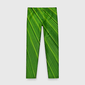 Детские леггинсы 3D с принтом Зелёный лист , полиэстер 85%, спандекс 15% | эластичный пояс, зауженный крой | abstract | абстрактно | абстрактный | абстракция | зеленый | зелень | лист | листок | листья | полоса | полоска | полосы | природа | флора