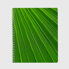 Тетрадь с принтом Зелёный лист , 100% бумага | 48 листов, плотность листов — 60 г/м2, плотность картонной обложки — 250 г/м2. Листы скреплены сбоку удобной пружинной спиралью. Уголки страниц и обложки скругленные. Цвет линий — светло-серый
 | abstract | абстрактно | абстрактный | абстракция | зеленый | зелень | лист | листок | листья | полоса | полоска | полосы | природа | флора