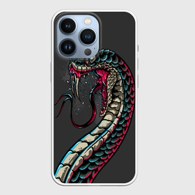 Чехол для iPhone 13 Pro с принтом Viper ,  |  | Тематика изображения на принте: animals | art | poison | snake | venom | venomous | viper | арт | гадюка | животное | животные | змеи | змей | змея | картинка | картинки | прикольная | прикольные | яд | ядовитая | ядовитый