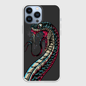 Чехол для iPhone 13 Pro Max с принтом Viper ,  |  | Тематика изображения на принте: animals | art | poison | snake | venom | venomous | viper | арт | гадюка | животное | животные | змеи | змей | змея | картинка | картинки | прикольная | прикольные | яд | ядовитая | ядовитый