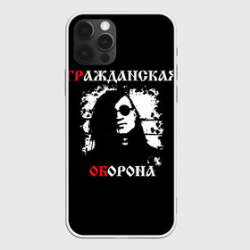 Чехол для iPhone 12 Pro Max с принтом Гр Об + Анархия (спина) , Силикон |  | punk | punks not dead | гр.об. | гражданская оборона | гроб | егор летов | панки | хой