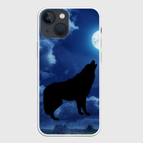 Чехол для iPhone 13 mini с принтом WOLF ,  |  | wolf | волк | луна | ночь