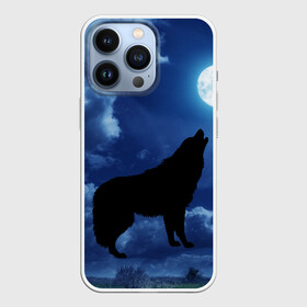 Чехол для iPhone 13 Pro с принтом WOLF ,  |  | Тематика изображения на принте: wolf | волк | луна | ночь