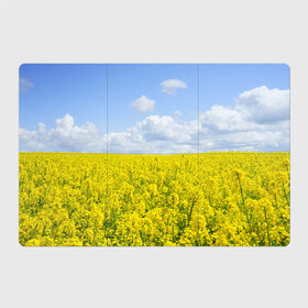 Магнитный плакат 3Х2 с принтом Рапсовое поле , Полимерный материал с магнитным слоем | 6 деталей размером 9*9 см | небо | облака | облако | поле | поля | посев | посевы | природа | природный | рапс | рапсовое | рапсовый | рапсом | туча | тучи | урожаи | урожай | цветами | цветок | цветы