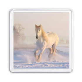 Магнит 55*55 с принтом Белая лошадь на снегу , Пластик | Размер: 65*65 мм; Размер печати: 55*55 мм | Тематика изображения на принте: белая | белый | декабрь | животное | животные | звери | зверь | зима | зимний | зимой | кони | конь | копытные | копытный | лошади | лошадь | снег | снега | снегу | снежный | февраль | январь