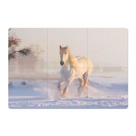 Магнитный плакат 3Х2 с принтом Белая лошадь на снегу , Полимерный материал с магнитным слоем | 6 деталей размером 9*9 см | Тематика изображения на принте: белая | белый | декабрь | животное | животные | звери | зверь | зима | зимний | зимой | кони | конь | копытные | копытный | лошади | лошадь | снег | снега | снегу | снежный | февраль | январь
