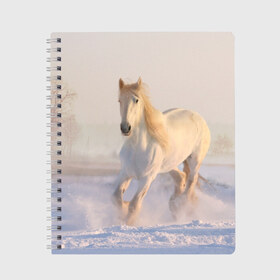Тетрадь с принтом Белая лошадь на снегу , 100% бумага | 48 листов, плотность листов — 60 г/м2, плотность картонной обложки — 250 г/м2. Листы скреплены сбоку удобной пружинной спиралью. Уголки страниц и обложки скругленные. Цвет линий — светло-серый
 | белая | белый | декабрь | животное | животные | звери | зверь | зима | зимний | зимой | кони | конь | копытные | копытный | лошади | лошадь | снег | снега | снегу | снежный | февраль | январь