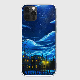 Чехол для iPhone 12 Pro Max с принтом ЗИМНЯЯ НОЧЬ , Силикон |  | star | stars | texture | вечер | вечерние иллюстрации | звезда | звезды | ночной пейзаж | ночные | ночь | природа | прогулки | текстуры