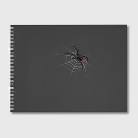 Альбом для рисования с принтом Паук , 100% бумага
 | матовая бумага, плотность 200 мг. | Тематика изображения на принте: animal | animals | poison | spider | venom | вдова | животные | каракурт | паук | паутина | паучок | черная | черная вдова | яд