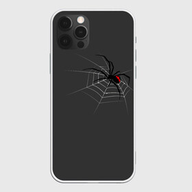 Чехол для iPhone 12 Pro с принтом Паук , силикон | область печати: задняя сторона чехла, без боковых панелей | animal | animals | poison | spider | venom | вдова | животные | каракурт | паук | паутина | паучок | черная | черная вдова | яд