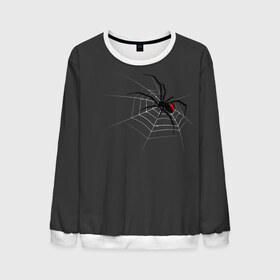 Мужской свитшот 3D с принтом Паук , 100% полиэстер с мягким внутренним слоем | круглый вырез горловины, мягкая резинка на манжетах и поясе, свободная посадка по фигуре | animal | animals | poison | spider | venom | вдова | животные | каракурт | паук | паутина | паучок | черная | черная вдова | яд