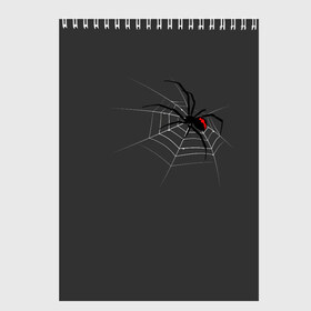 Скетчбук с принтом Паук , 100% бумага
 | 48 листов, плотность листов — 100 г/м2, плотность картонной обложки — 250 г/м2. Листы скреплены сверху удобной пружинной спиралью | animal | animals | poison | spider | venom | вдова | животные | каракурт | паук | паутина | паучок | черная | черная вдова | яд