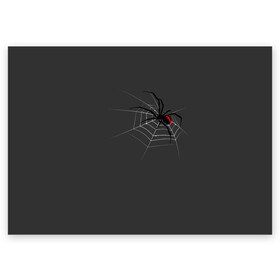 Поздравительная открытка с принтом Паук , 100% бумага | плотность бумаги 280 г/м2, матовая, на обратной стороне линовка и место для марки
 | animal | animals | poison | spider | venom | вдова | животные | каракурт | паук | паутина | паучок | черная | черная вдова | яд