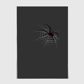 Постер с принтом Паук , 100% бумага
 | бумага, плотность 150 мг. Матовая, но за счет высокого коэффициента гладкости имеет небольшой блеск и дает на свету блики, но в отличии от глянцевой бумаги не покрыта лаком | animal | animals | poison | spider | venom | вдова | животные | каракурт | паук | паутина | паучок | черная | черная вдова | яд