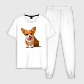 Мужская пижама хлопок с принтом Корги , 100% хлопок | брюки и футболка прямого кроя, без карманов, на брюках мягкая резинка на поясе и по низу штанин
 | вельш корги | домашние животные | корги | пес | собака | собачнику | щенок