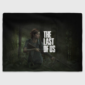 Плед 3D с принтом THE LAST OF US , 100% полиэстер | закругленные углы, все края обработаны. Ткань не мнется и не растягивается | cicadas | fireflies | naughty dog | the last of us | the last of us part 2 | джоэл | последние из нас | цикады | элли