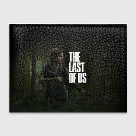 Обложка для студенческого билета с принтом THE LAST OF US , натуральная кожа | Размер: 11*8 см; Печать на всей внешней стороне | cicadas | fireflies | naughty dog | the last of us | the last of us part 2 | джоэл | последние из нас | цикады | элли