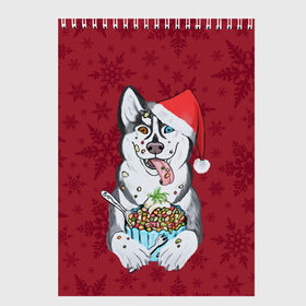 Скетчбук с принтом Christmas Husky , 100% бумага
 | 48 листов, плотность листов — 100 г/м2, плотность картонной обложки — 250 г/м2. Листы скреплены сверху удобной пружинной спиралью | happy new year | santa | дед мороз | каникулы | мороз | новогодний свитер | новый год | оливье | праздник | рождество | санта клаус | свитер новогодний | снег | снегурочка | снежинки