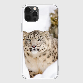 Чехол для iPhone 12 Pro Max с принтом Ирбис , Силикон |  | snow leopard | барс | барсы | животное | животные | звери | зверь | зима | зимы | ирбис | киски | кот | коты | кошачьи | кошка | кошки | мохнатые | мохнатый | пятнистые | пятнистый | снег | снежный