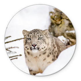 Коврик для мышки круглый с принтом Ирбис , резина и полиэстер | круглая форма, изображение наносится на всю лицевую часть | snow leopard | барс | барсы | животное | животные | звери | зверь | зима | зимы | ирбис | киски | кот | коты | кошачьи | кошка | кошки | мохнатые | мохнатый | пятнистые | пятнистый | снег | снежный