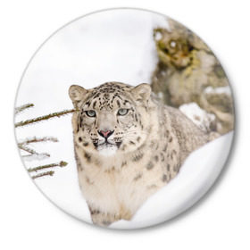Значок с принтом Ирбис ,  металл | круглая форма, металлическая застежка в виде булавки | snow leopard | барс | барсы | животное | животные | звери | зверь | зима | зимы | ирбис | киски | кот | коты | кошачьи | кошка | кошки | мохнатые | мохнатый | пятнистые | пятнистый | снег | снежный
