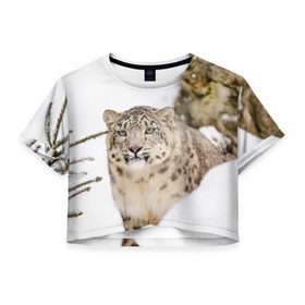 Женская футболка Cropp-top с принтом Ирбис , 100% полиэстер | круглая горловина, длина футболки до линии талии, рукава с отворотами | snow leopard | барс | барсы | животное | животные | звери | зверь | зима | зимы | ирбис | киски | кот | коты | кошачьи | кошка | кошки | мохнатые | мохнатый | пятнистые | пятнистый | снег | снежный