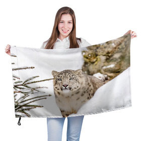 Флаг 3D с принтом Ирбис , 100% полиэстер | плотность ткани — 95 г/м2, размер — 67 х 109 см. Принт наносится с одной стороны | Тематика изображения на принте: snow leopard | барс | барсы | животное | животные | звери | зверь | зима | зимы | ирбис | киски | кот | коты | кошачьи | кошка | кошки | мохнатые | мохнатый | пятнистые | пятнистый | снег | снежный