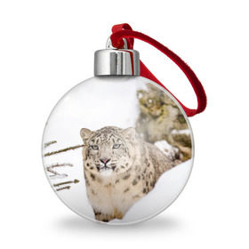Ёлочный шар с принтом Ирбис , Пластик | Диаметр: 77 мм | snow leopard | барс | барсы | животное | животные | звери | зверь | зима | зимы | ирбис | киски | кот | коты | кошачьи | кошка | кошки | мохнатые | мохнатый | пятнистые | пятнистый | снег | снежный