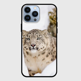 Чехол для iPhone 13 Pro Max с принтом Ирбис ,  |  | Тематика изображения на принте: snow leopard | барс | барсы | животное | животные | звери | зверь | зима | зимы | ирбис | киски | кот | коты | кошачьи | кошка | кошки | мохнатые | мохнатый | пятнистые | пятнистый | снег | снежный