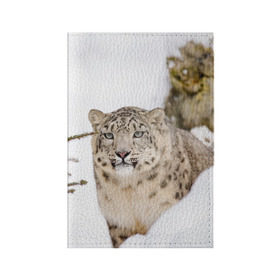 Обложка для паспорта матовая кожа с принтом Ирбис , натуральная матовая кожа | размер 19,3 х 13,7 см; прозрачные пластиковые крепления | Тематика изображения на принте: snow leopard | барс | барсы | животное | животные | звери | зверь | зима | зимы | ирбис | киски | кот | коты | кошачьи | кошка | кошки | мохнатые | мохнатый | пятнистые | пятнистый | снег | снежный