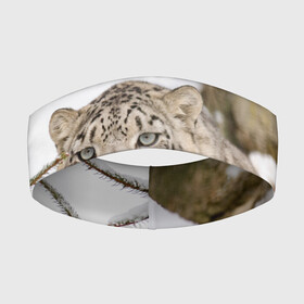 Повязка на голову 3D с принтом Ирбис ,  |  | Тематика изображения на принте: snow leopard | барс | барсы | животное | животные | звери | зверь | зима | зимы | ирбис | киски | кот | коты | кошачьи | кошка | кошки | мохнатые | мохнатый | пятнистые | пятнистый | снег | снежный