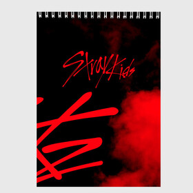 Скетчбук с принтом Stray Kids , 100% бумага
 | 48 листов, плотность листов — 100 г/м2, плотность картонной обложки — 250 г/м2. Листы скреплены сверху удобной пружинной спиралью | Тематика изображения на принте: 3racha | i.n | jyp nation | k pop | kpop | skz | stray kids | к поп | кпоп | ли ноу | скз | страй кидс | стрэй кидс | сынмина | уджин | феликса | хана | хёнджина | чана | чанбина