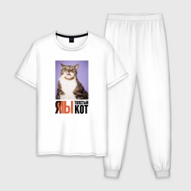 Мужская пижама хлопок с принтом Я-МЫ толстый кот , 100% хлопок | брюки и футболка прямого кроя, без карманов, на брюках мягкая резинка на поясе и по низу штанин
 | викторлетай | кот | котики | мемы | приколы