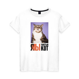 Женская футболка хлопок с принтом Я-МЫ толстый кот , 100% хлопок | прямой крой, круглый вырез горловины, длина до линии бедер, слегка спущенное плечо | Тематика изображения на принте: викторлетай | кот | котики | мемы | приколы