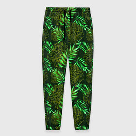 Мужские брюки 3D с принтом Зеленые тропики , 100% полиэстер | манжеты по низу, эластичный пояс регулируется шнурком, по бокам два кармана без застежек, внутренняя часть кармана из мелкой сетки | гавайи | листья | листья пальм | пальмы | тропики