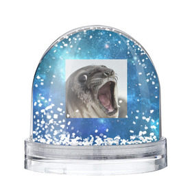 Снежный шар с принтом Тюлень , Пластик | Изображение внутри шара печатается на глянцевой фотобумаге с двух сторон | животное | забавный | мем | тюлень | я