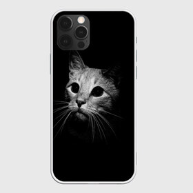 Чехол для iPhone 12 Pro Max с принтом Кошачья морда , Силикон |  | кот | кошка | темнота