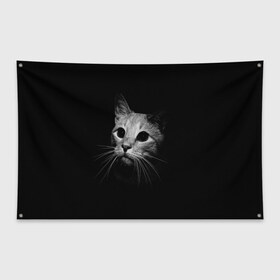 Флаг-баннер с принтом Кошачья морда , 100% полиэстер | размер 67 х 109 см, плотность ткани — 95 г/м2; по краям флага есть четыре люверса для крепления | кот | кошка | темнота