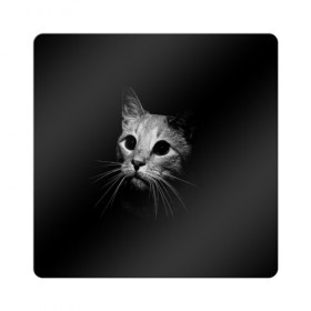Магнит виниловый Квадрат с принтом Кошачья морда , полимерный материал с магнитным слоем | размер 9*9 см, закругленные углы | кот | кошка | темнота