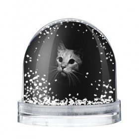 Снежный шар с принтом Кошачья морда , Пластик | Изображение внутри шара печатается на глянцевой фотобумаге с двух сторон | кот | кошка | темнота