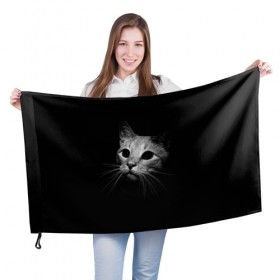 Флаг 3D с принтом Кошачья морда , 100% полиэстер | плотность ткани — 95 г/м2, размер — 67 х 109 см. Принт наносится с одной стороны | кот | кошка | темнота